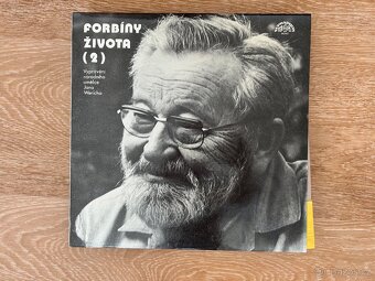 Gramofonové desky Werich, Horníček - 8