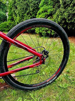 Horske kolo Genesis 29 - 8