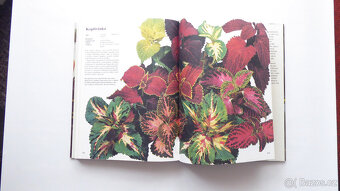 B129_ Sada 4 knih, Roční období v zahradě, 1983 - 8