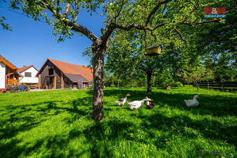 Prodej, rodinná usedlost, 400m² s pozemky 6729 m², Palkovice - 8