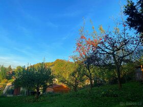 Prodej zahrady s chatkou, 534 m², Děčín - 8