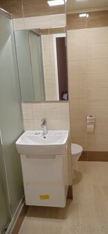 Pronájem 2+1 Ostrava Dubina - 8