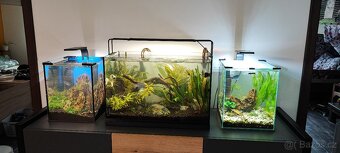 Aquaria + vybavení tak jak je - 8