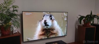 Smart TV  LG Oled 55A13LA - 8