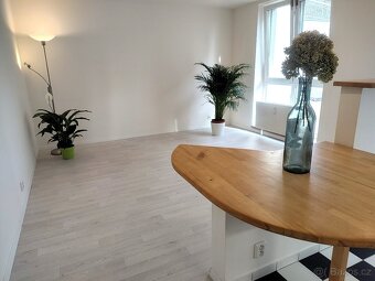 Prodej bytu 1+kk 33m² + 48m² terasa/zahrádka, Praha-Trója - 8
