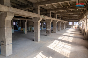 Pronájem výrobního objektu, 12000 m², Ostrava - Vítkovice - 8