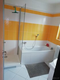 Prodám dvougeneračního dům v Benešově u Prahy - 8