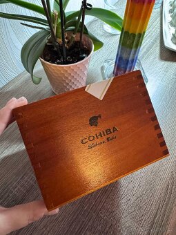Cohiba Siglo VI - 8
