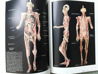 Výstavní katalog KÖRPERWELTEN-Prof.G.HAGENS - 8