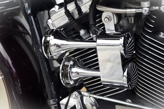 Harley Davidson Ultra Classic Electra Glide 95 th. Anniv. - 8