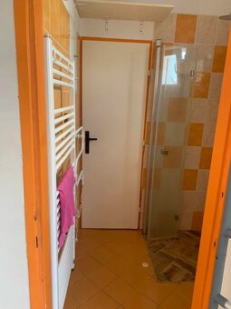 Pronájem bytu 3+1 100 m² - 8