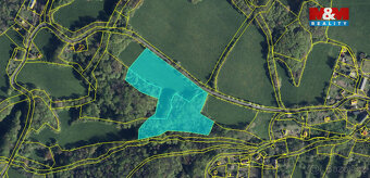 Prodej pastviny s lesním pozemkem 22.174 m² v Homoli u Panny - 8