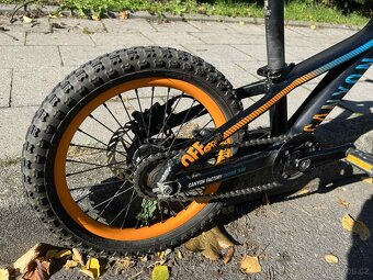 Canyon Offspring AL 16 - 8