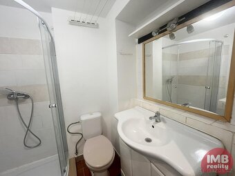 Prodej bytu 1+1 s nebytovým prostorem ve Staré Roli, K. Vary - 8