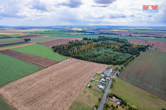 Prodej pozemku k bydlení, 1000 m², Svojšice - 8