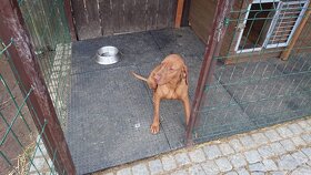 Podlaha do garáže ,stáje ,plné i děravé desky - 8