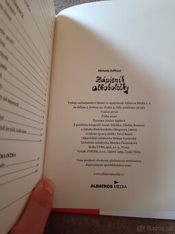 Zápisník alkoholičky - 8