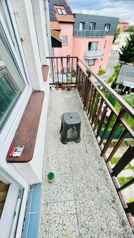 Pronájem, byt 2+1,  70 m², Sokolovská, Jihlava - 8