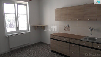 pronájem rekonstruovaného 2+1 80 m2 v Mariánských Horách - 8