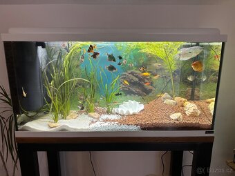 Akvárium 90l včetně kompletního příslušenství - 8