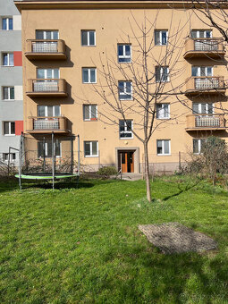 Prodej bytu 1+1 Vídeňská - 8