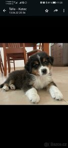 Dřevěný kotec pro psa s boudou. - 8