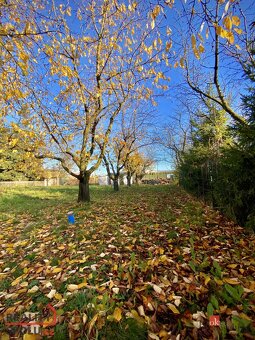 Prodej, pozemky/bydlení, 1049 m2, Rybníčky 100, 74781 Otice, - 8