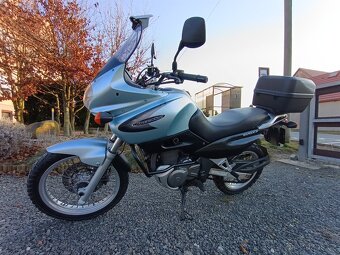 Suzuki Freewind 650 XF - 8