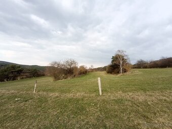 Pastevní ustájení - 8