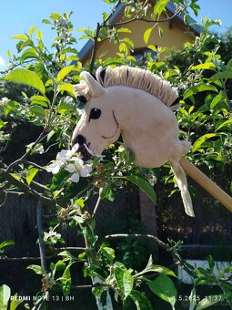 Hobby horse - 8