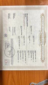 Na prodej: BR Electric Spook - 8