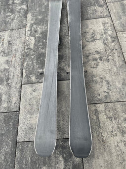 Dětské lyže Dynastar Team Speed 110cm - 8