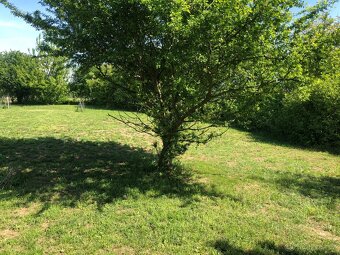 Pronájem zahrady ve Zdibech – 500 m², krásné prostředí - 8