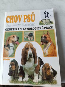Kokršpaněl Briard Dalmatin irský setr český terier - 8