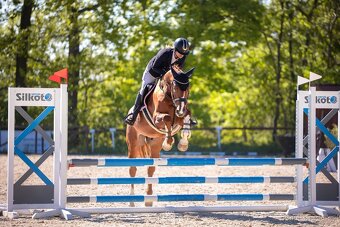 Valach 2020 po For Treasure VDL - 8