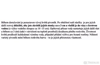 Kytice pivoněk - dárek s překvapením - 8