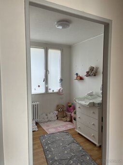 Pronájem bytu 4+kk v Teplicích - 8