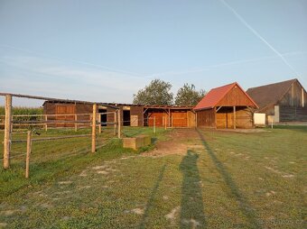 Ustájení koní - 8