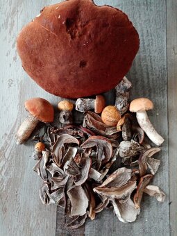SMĚS HŘIBOVITÉ - KVALITNÍ SUŠENÉ HOUBY S OSVĚDČENÍM - 8