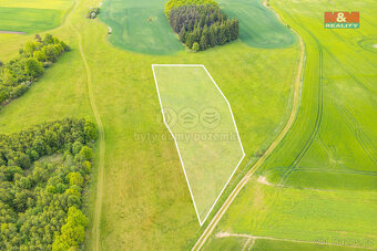 Prodej louky, 10193 m², Lešetice - 8