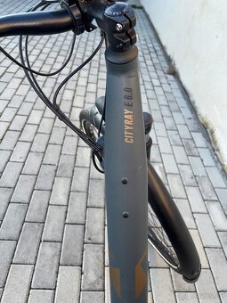 Elektrokolo RAYMON CityRay E 6.0 FW Darkgrey / Bronze Matt - 8