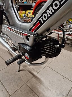 Tomos A3 MS - 8