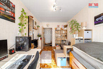 Prodej bytu 3+kk, 66 m², Mělník, ul. Sportovní - 8
