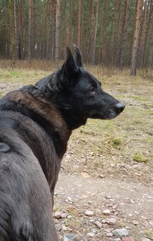 CONNIE K ADOPCI - nejvěrnější parťačka, mazel na N-tou - 8