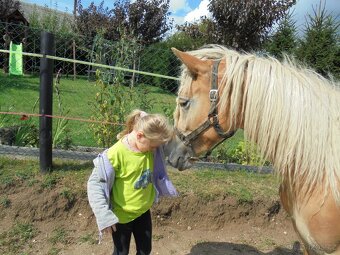 Prodám klisny hafling - 8