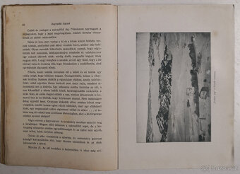 A sarkvidék remetéje 1916 - 8