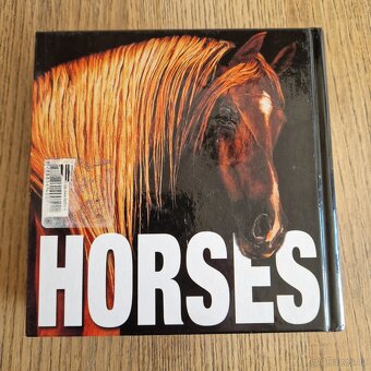 Horses (CubeBook, 2010) - 8