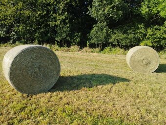 Lis new holland - 8