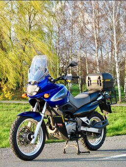 Prodám Suzuki Freewind xf 650 - 8