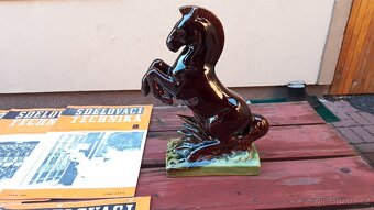 Staré pohledy ,socha koně , časopisy. - 8